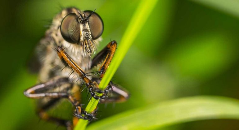 Privacy-Policy--Pencil-Tuts