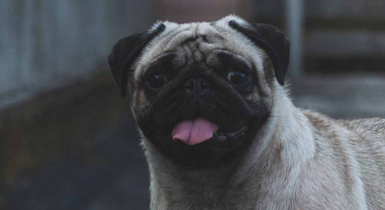 Terms-and-conditions--Pencil-Tuts